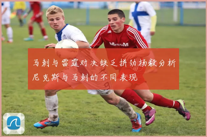 马刺与雷霆对决缺乏拼劲杨毅分析尼克斯与马刺的不同表现