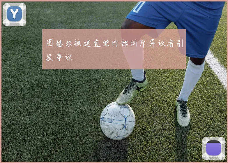图赫尔执迷直觉内部训斥异议者引发争议