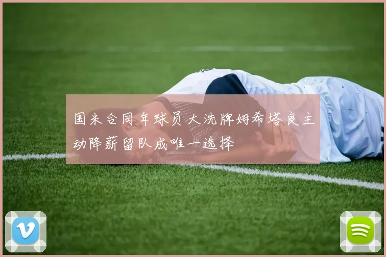 国米合同年球员大洗牌姆希塔良主动降薪留队成唯一选择