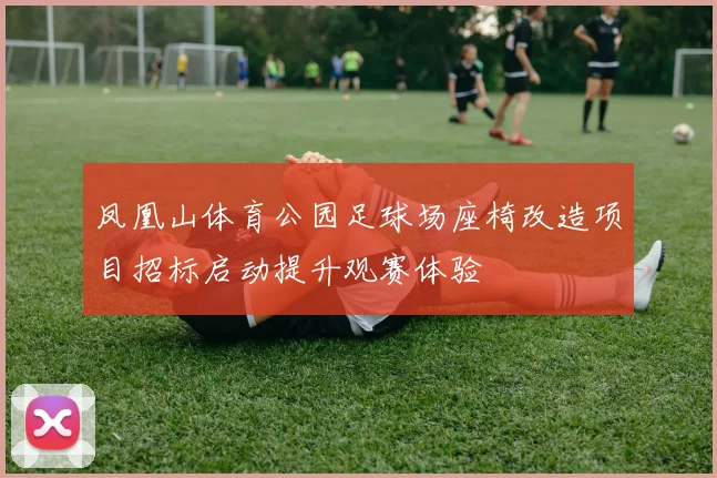 凤凰山体育公园足球场座椅改造项目招标启动提升观赛体验